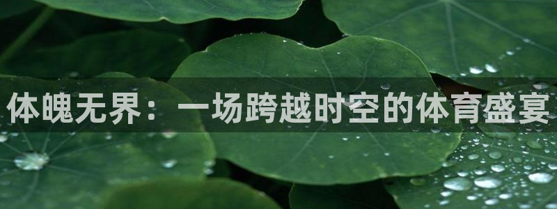 尊龙官方正版app五金厂:体魄无界:一场跨越时空的体育盛宴
