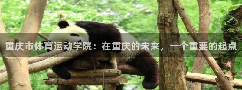 尊龙官方正版app新能源:重庆市体育运动学院:在重庆的未来,